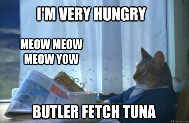 I'm very hungry meow meow meow yow butler fetch tuna  Sophisticated Cat