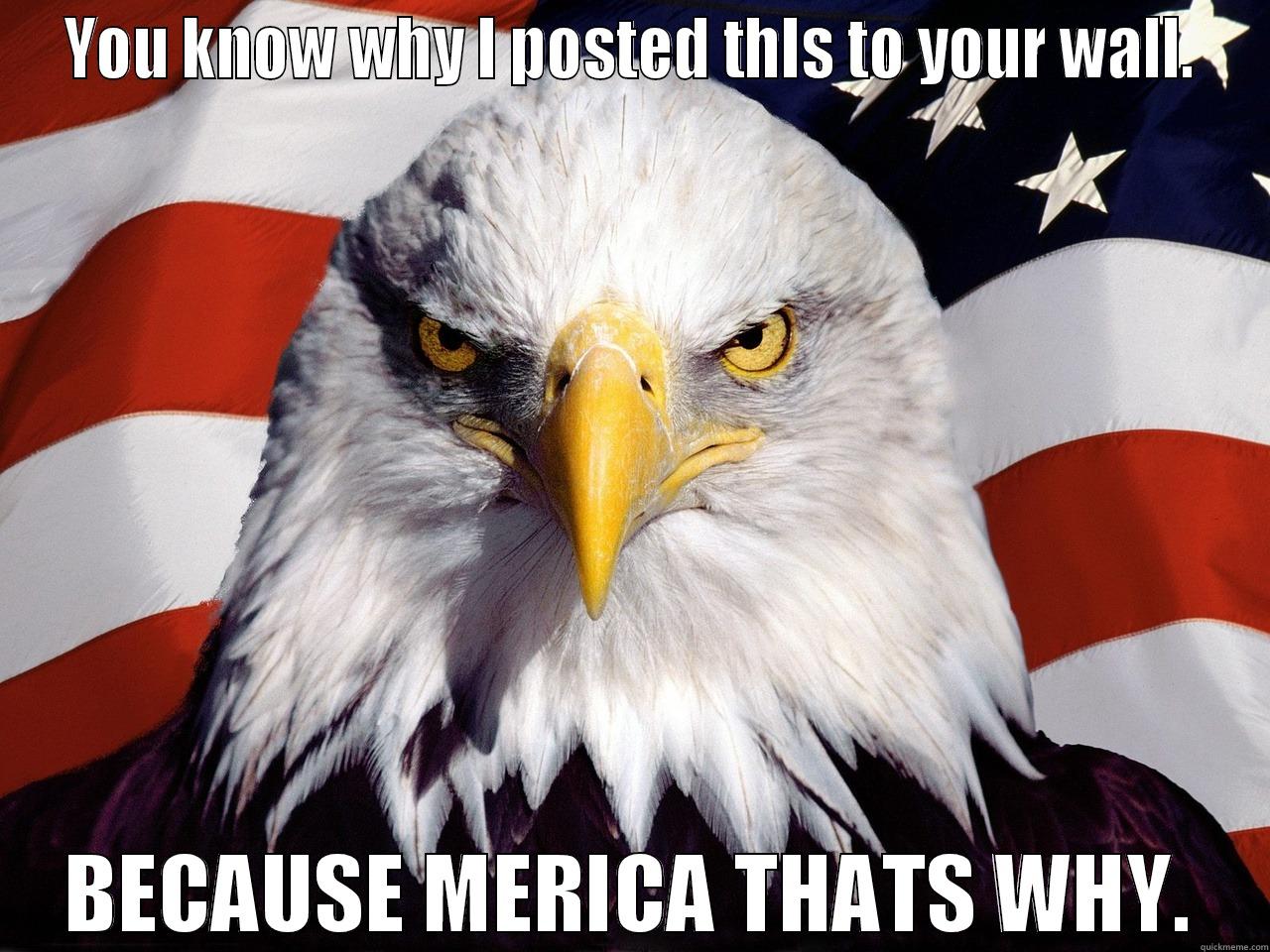 Merica mother fucker - YOU KNOW WHY I POSTED THIS TO YOUR WALL. BECAUSE MERICA THATS WHY. Misc