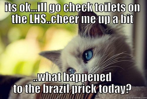 ITS OK...ILL GO CHECK TOILETS ON THE LHS..CHEER ME UP A BIT ..WHAT HAPPENED TO THE BRAZIL PRICK TODAY? First World Problems Cat
