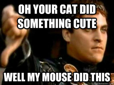 Oh your cat did something cute Well my mouse did this  Downvoting Roman