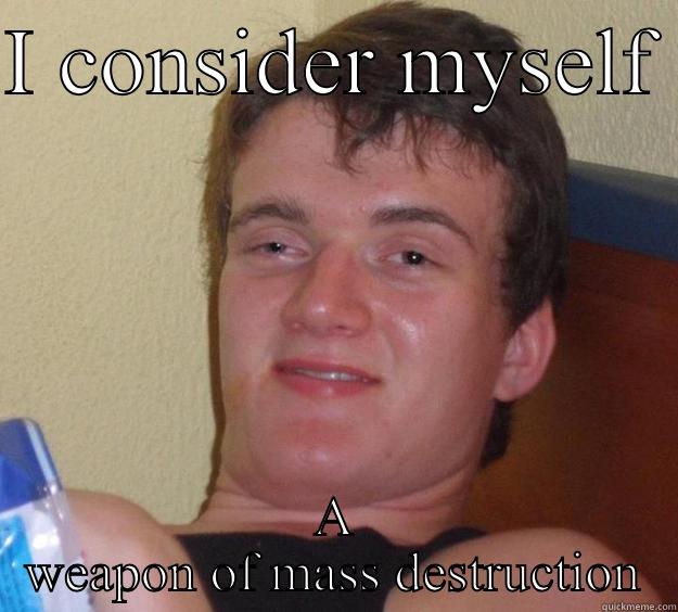 I CONSIDER MYSELF  A WEAPON OF MASS DESTRUCTION 10 Guy