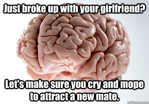 Just broke up with your girlfriend? Let's make sure you cry and mope to attract a new mate.   Scumbag Brain