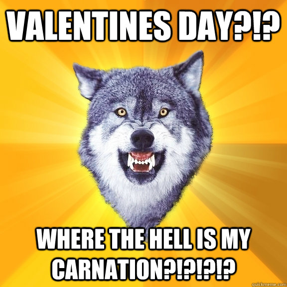 Valentines day?!? WHERE THE HELL IS MY CARNATION?!?!?!?  Courage Wolf