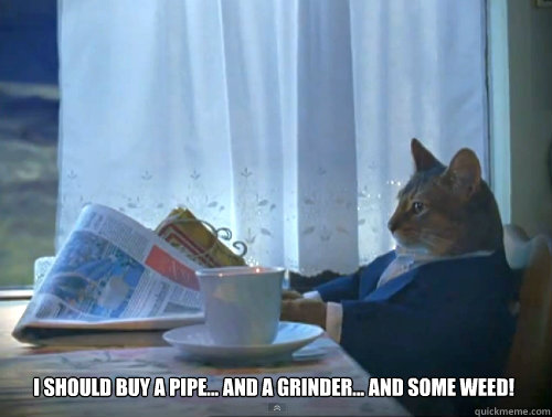  I should buy a pipe... and a grinder... and some weed!  The One Percent Cat