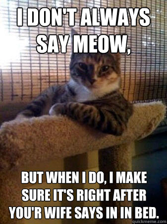 I don't always say Meow, but when I do, I make sure it's right after you'r wife says in in bed.  The Most Interesting Cat in the World