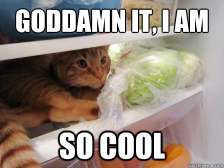 Goddamn it, I am  so cool - Goddamn it, I am  so cool  Fridge Cat