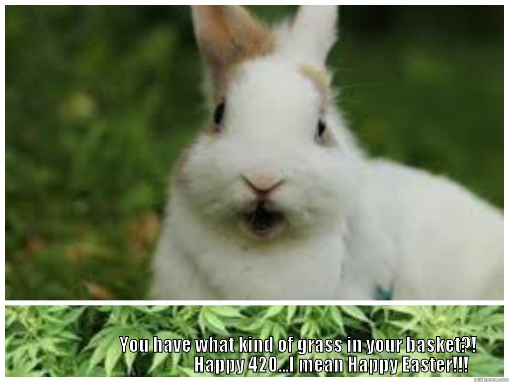                            YOU HAVE WHAT KIND OF GRASS IN YOUR BASKET?!                                              HAPPY 420...I MEAN HAPPY EASTER!!! Misc