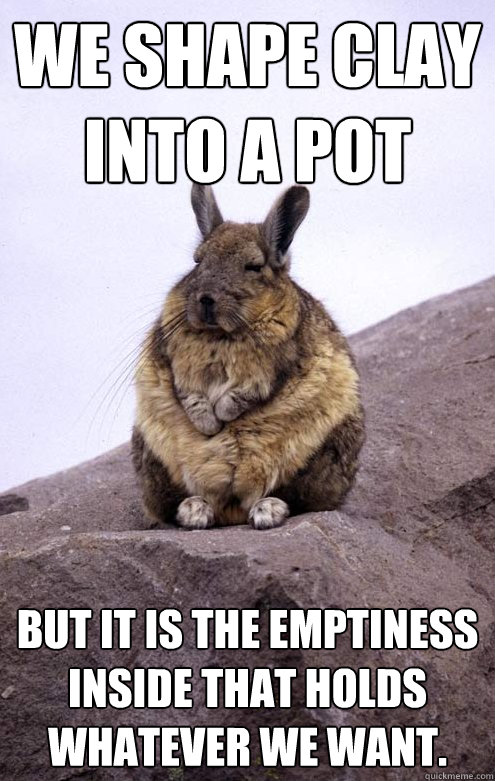 We shape clay into a pot but it is the emptiness
inside that holds whatever we want.  Zen Rabbit