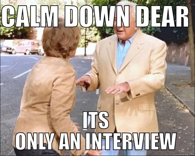 CALM DOWN DEAR  ITS ONLY AN INTERVIEW Misc