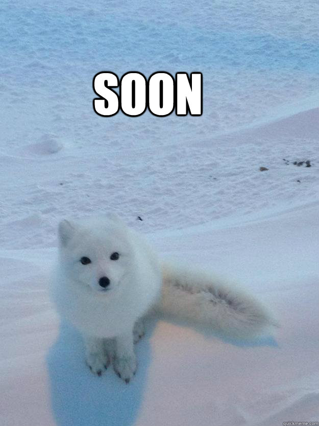 Soon - Soon  Stalker fox