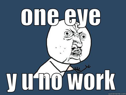 ONE EYE Y U NO WORK Y U No