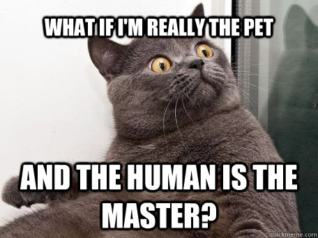 What if i'm really the pet and the human is the master?  conspiracy cat