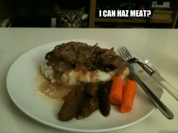 I can haz meat? - I can haz meat?  Meat Cat