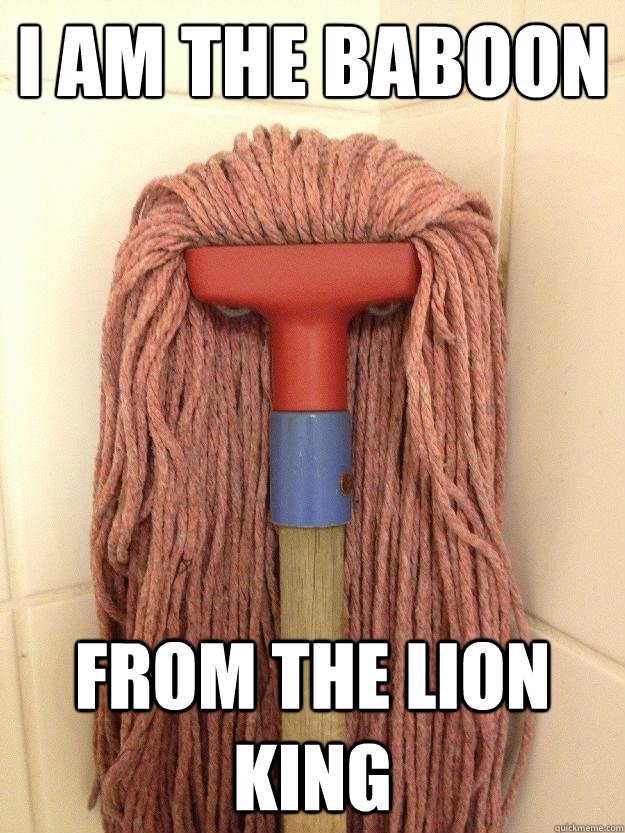I am the baboon from the lion king  Insanity Mop