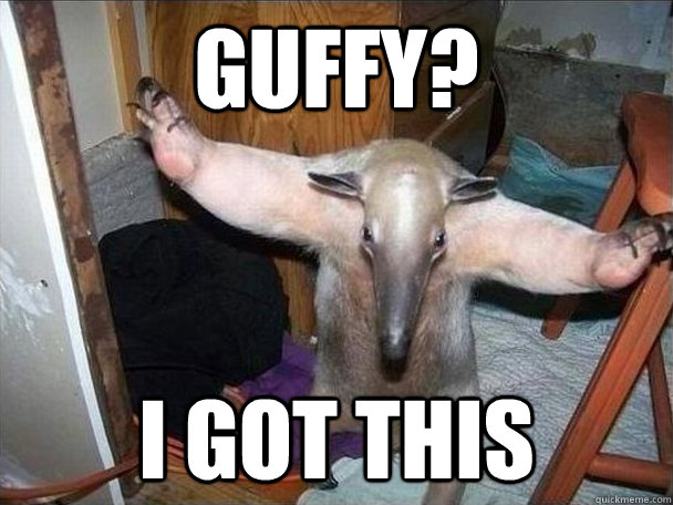 guffy? i got this  I got this