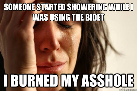 Someone started showering while I was using the bidet i burned my asshole - Someone started showering while I was using the bidet i burned my asshole  First World Problems