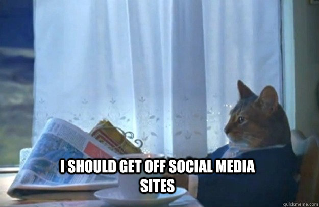 I should get off social media sites  Sophisticated Cat