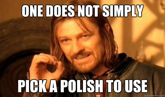 One Does Not Simply pick a polish to use  Boromir