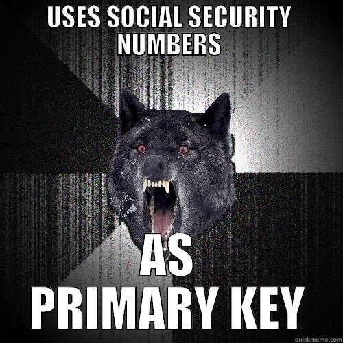 USES SOCIAL SECURITY NUMBERS AS PRIMARY KEY Insanity Wolf