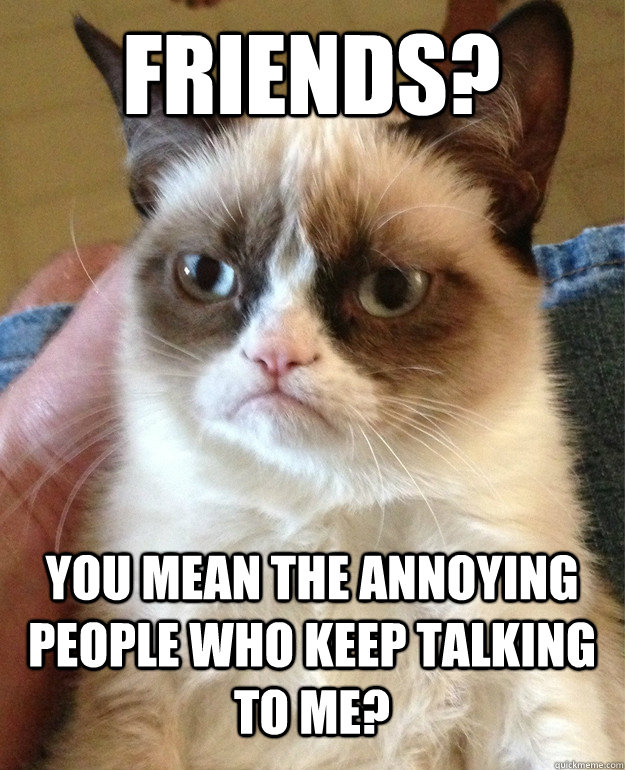friends? you mean the annoying people who keep talking to me?  Grumpy Cat
