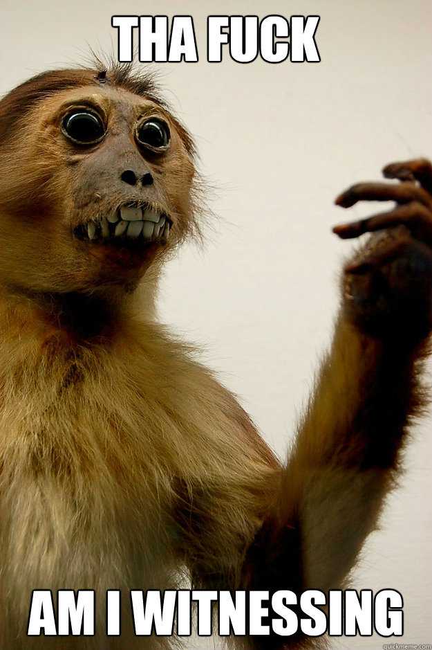 THA FUCK  AM I WITNESSING - THA FUCK  AM I WITNESSING  Dr.Vicious,The Taxidermy Afrikan Spit Monkey