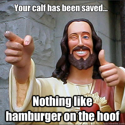 Your calf has been saved... Nothing like hamburger on the hoof  Buddy Christ