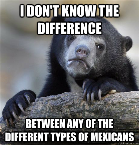 i don't know the difference between any of the different types of mexicans - i don't know the difference between any of the different types of mexicans  Confession Bear