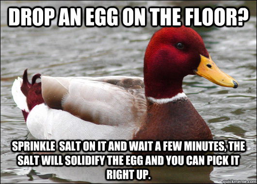 DROP AN EGG ON THE FLOOR? SPRINKLE  SALT ON IT AND WAIT A FEW MINUTES, THE SALT WILL SOLIDIFY THE EGG AND YOU CAN PICK IT RIGHT UP.  Malicious Advice Mallard