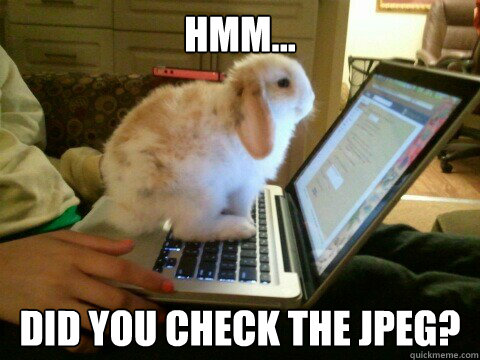 Hmm... Did you check the JPEG?  Not-So-Tech-Savvy Bunny