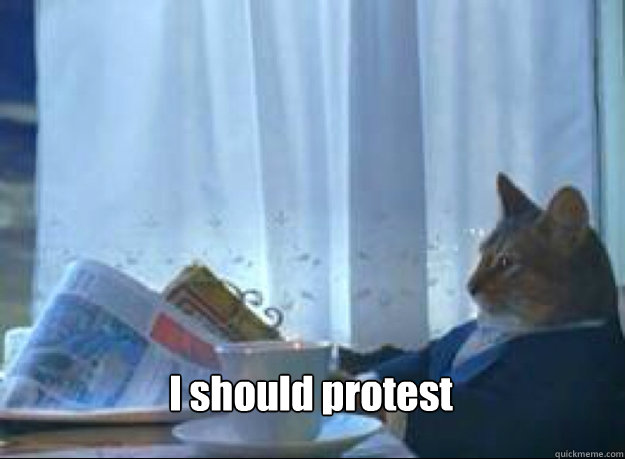 I should protest   I should buy a boat cat