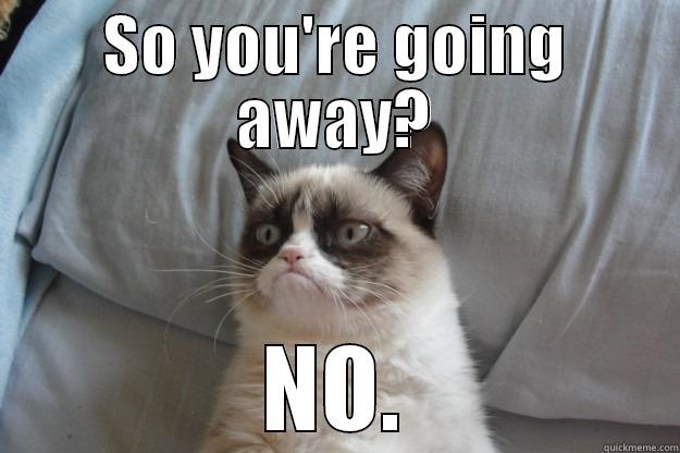 SO YOU'RE GOING AWAY? NO. Grumpy Cat