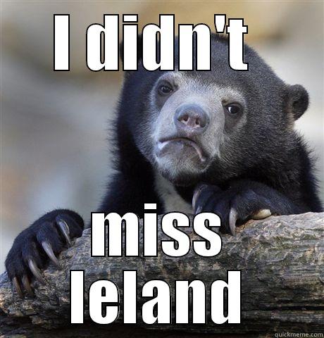 I DIDN'T  MISS LELAND Confession Bear