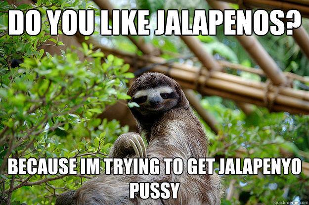 Do you like Jalapenos? Because im trying to get jalapenyo pussy  Seductive Sloth