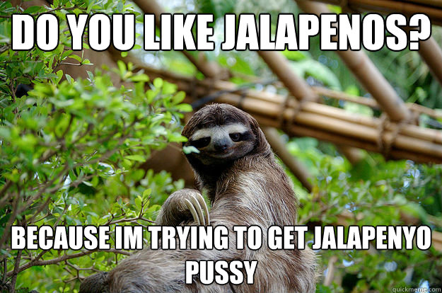 Do you like Jalapenos? Because im trying to get jalapenyo pussy - Do you like Jalapenos? Because im trying to get jalapenyo pussy  Seductive Sloth