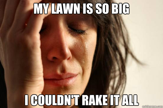 My lawn is so big I couldn't rake it all  First World Problems