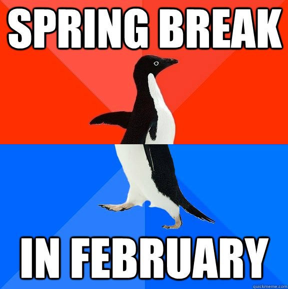 Spring break in february Misc quickmeme