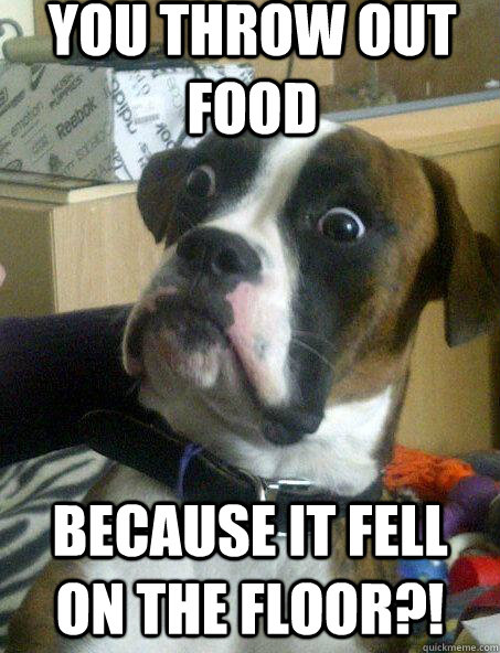 You throw out food because it fell on the floor?! - You throw out food because it fell on the floor?!  Surprised Dog