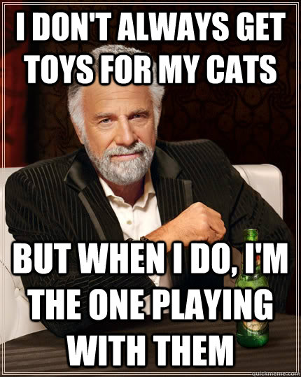 i don't always get toys for my cats but when i do, i'm the one playing with them  The Most Interesting Man In The World