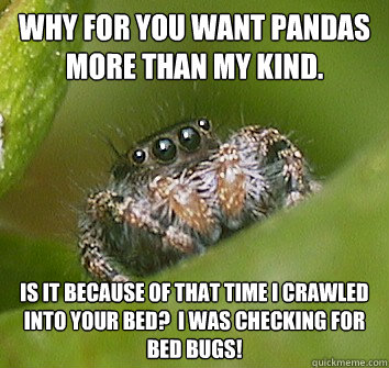 Why for you want Pandas more than my kind. is it because of that time I crawled into your bed?  I was checking for bed bugs! - Why for you want Pandas more than my kind. is it because of that time I crawled into your bed?  I was checking for bed bugs!  Misunderstood Spider