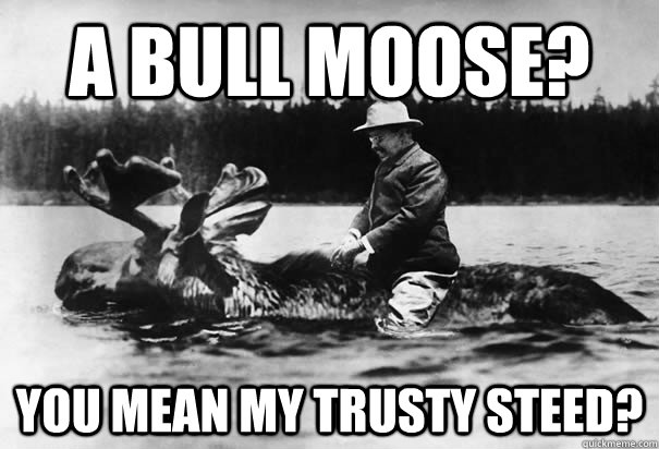 A bull moose? you mean my trusty steed? - A bull moose? you mean my trusty steed?  Misc