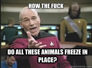 how the fuck do all these animals freeze in place? - how the fuck do all these animals freeze in place?  Annoyed Picard