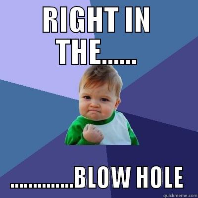 RIGHT IN THE...... ..............BLOW HOLE Success Kid