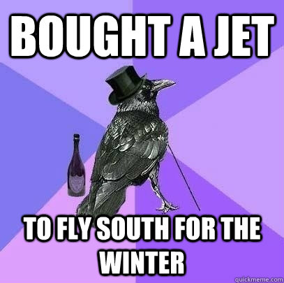 bought a jet to fly south for the winter  Rich Raven