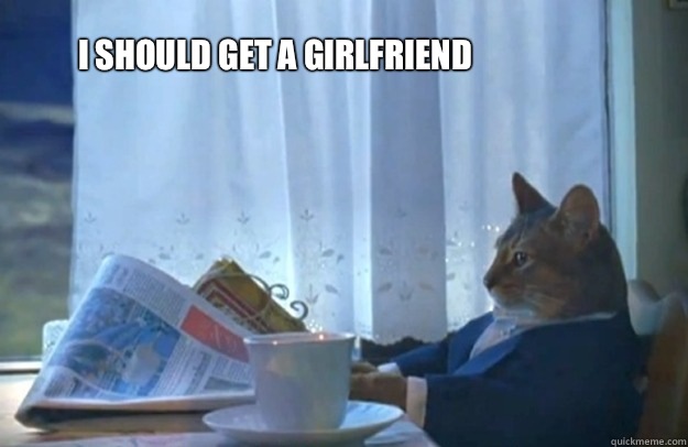 I should get a girlfriend  Sophisticated Cat