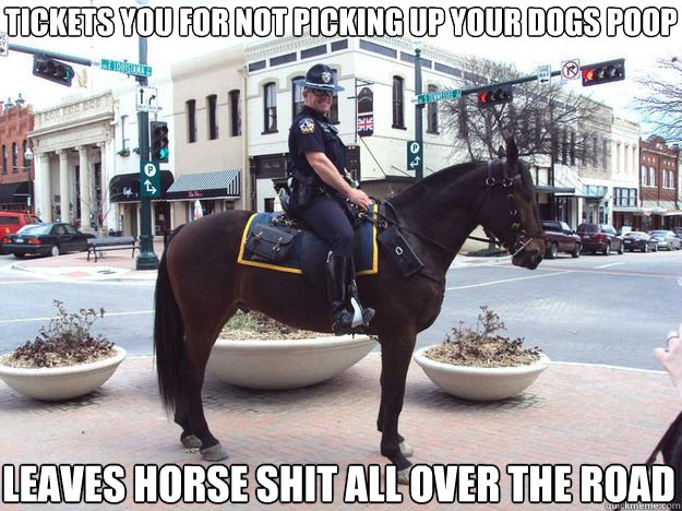 Tickets you for not picking up your dogs poop Leaves horse shit all over the road  Horse Cop