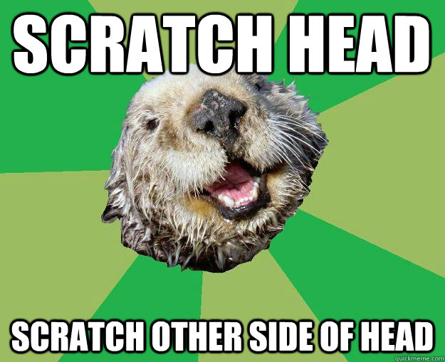 SCRATCH HEAD SCRATCH OTHER SIDE OF HEAD - SCRATCH HEAD SCRATCH OTHER SIDE OF HEAD  OCD Otter
