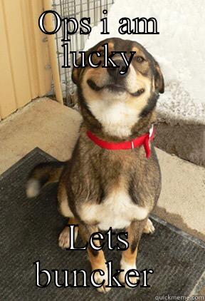 OPS I AM LUCKY LETS BUNCKER  Good Dog Greg