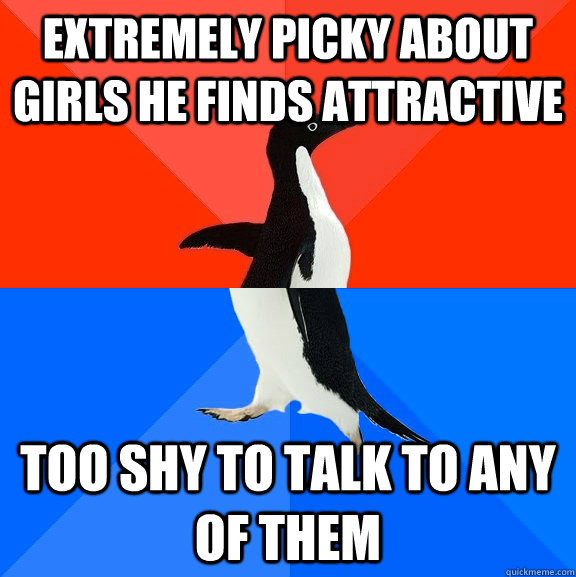 Extremely picky about girls he finds attractive too shy to talk to any of them  Socially Awesome Awkward Penguin