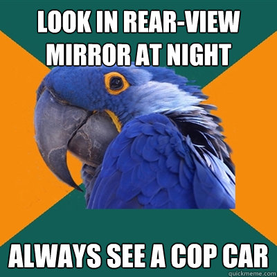 look in rear-view mirror at night always see a cop car  Paranoid Parrot