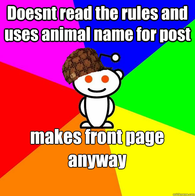 Doesnt read the rules and uses animal name for post makes front page anyway  Scumbag Redditor